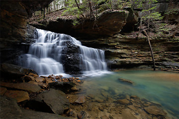 Mize
              Mill Falls