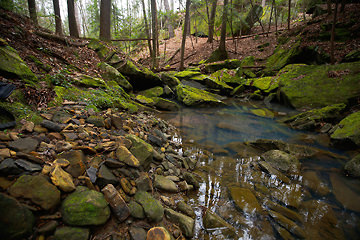 Downstream from Holmes Chapel Falls