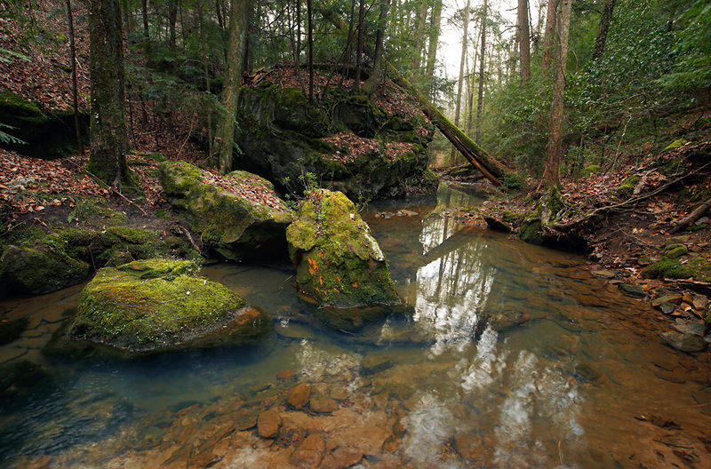 bankhead stream