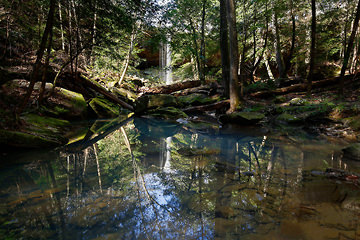 Holmes Chapel Falls