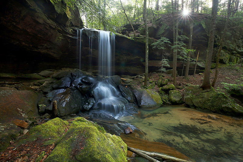 turkey foot falls