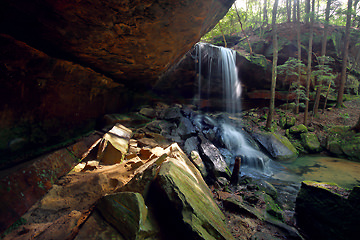 Turkey Foot Falls