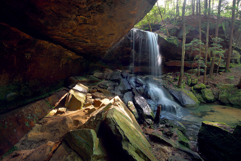 turkey foot falls