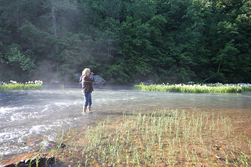 last stand of
          Cahaba lilies on hatchet creek