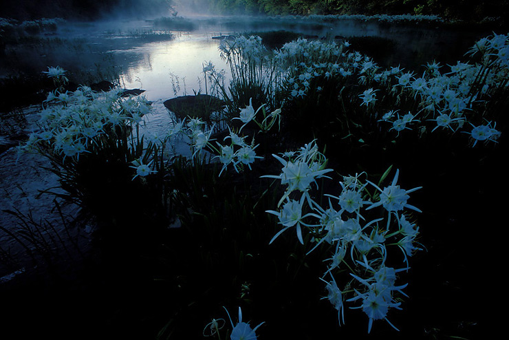 early morning on
          hatchet creek