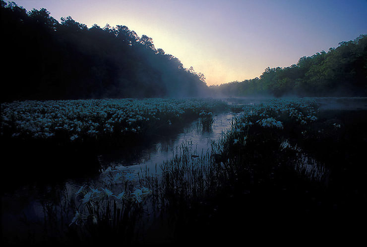 daybreak on
          hatchet creek