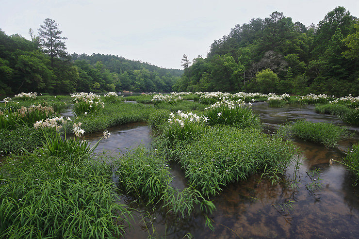 cahaba river
          NWR
