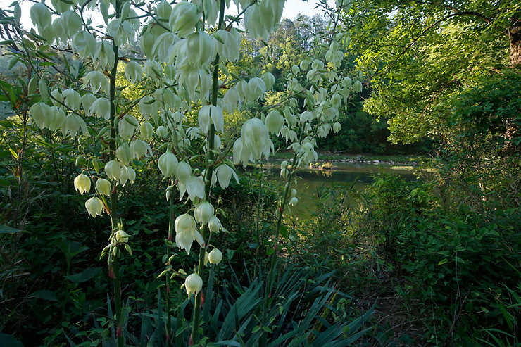 cahaba river NWR