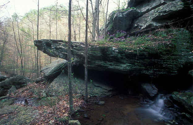 graces high falls area