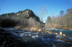 Bear creek converges
              with Little River