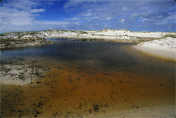 bon secour sand
              dunes