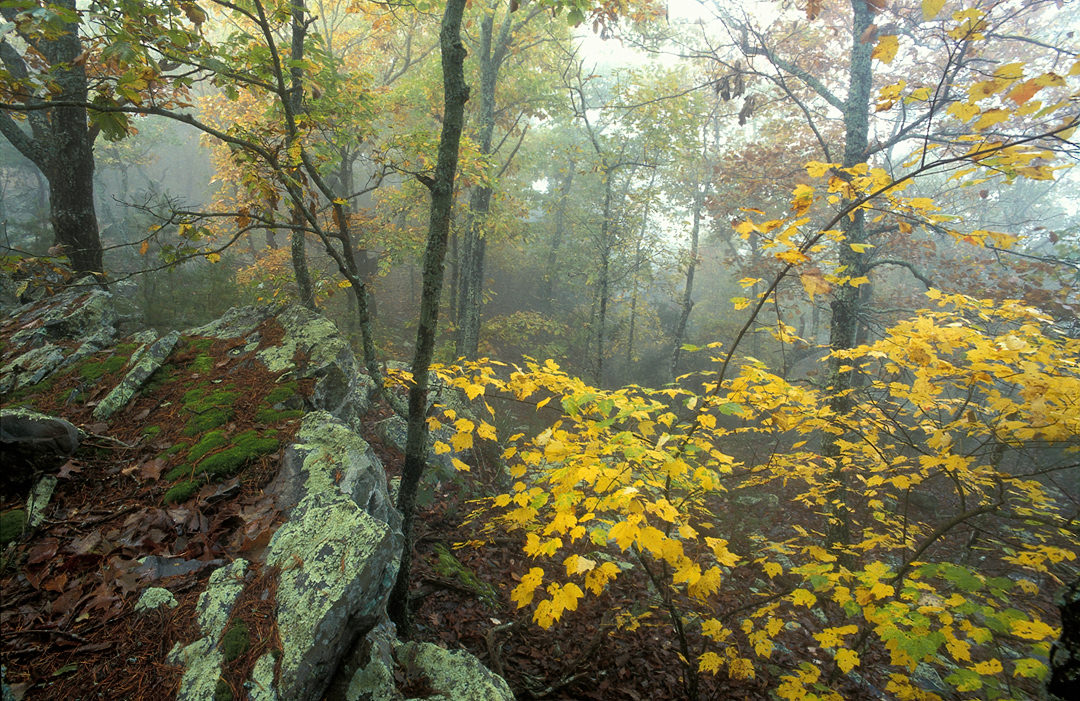 Cheaha Mountain