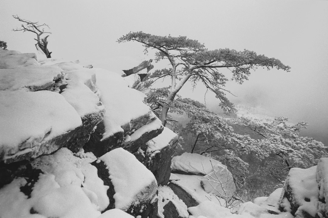 snow on Cheaha Mountain