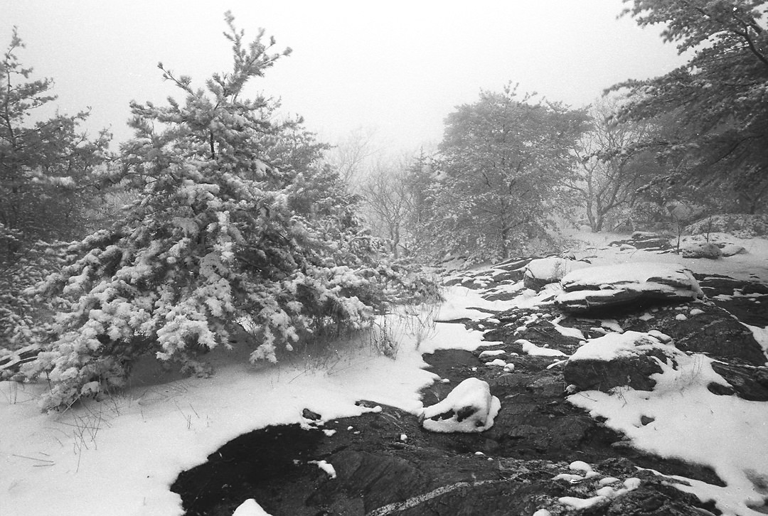 Cheaha State Park