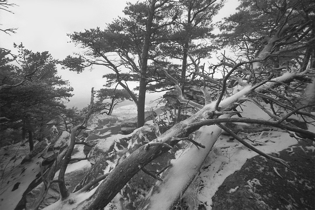 Cheaha State Park