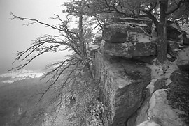 Snowy Cheaha overlook