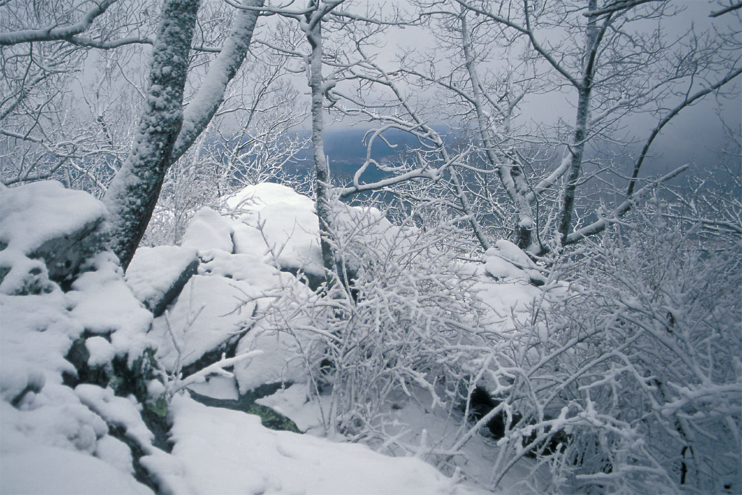 Cheaha State Park