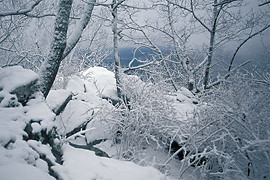 Snow on Cheaha
              Mountain