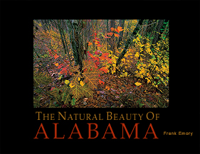 The Natural
            Beauty of Alabama