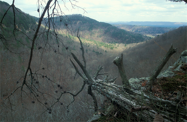 gulf creek canyon