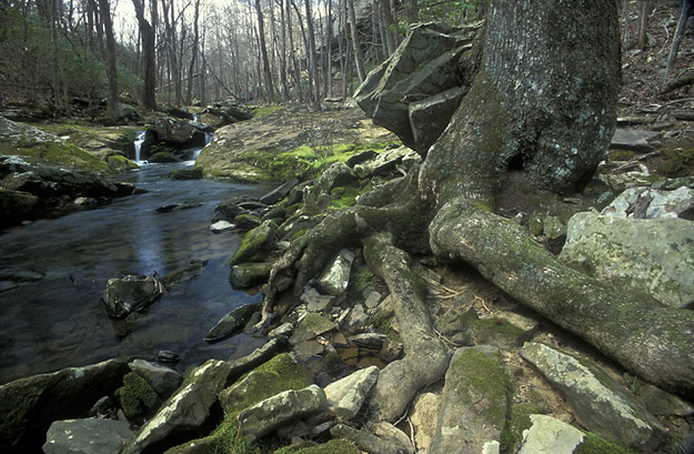 gulf creek canyon