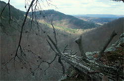 Gulf
              Creek Canyon