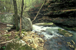 upper gulf creek