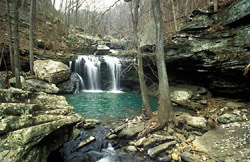 Gulf
              Creek Canyon