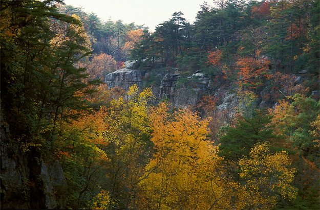 canyon below DeSoto Falls