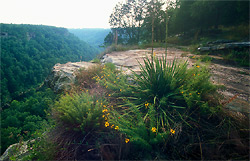 Little River Canyon rim