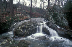 branch enters black creek