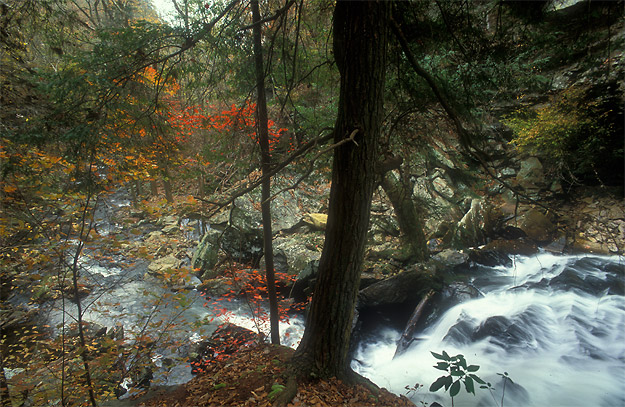 pisgah gorge