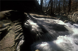 bryant creek