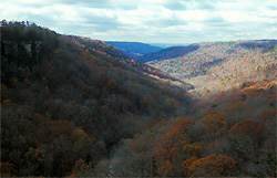 pisgah gorge