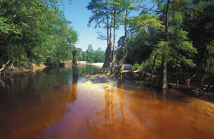 Escatawpa River 