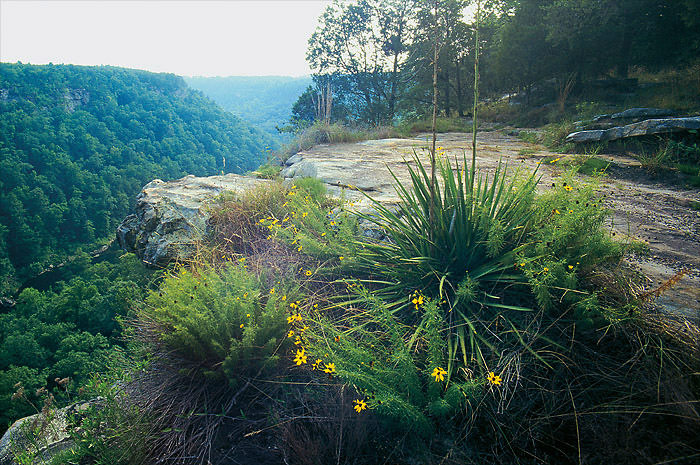 little river canyon