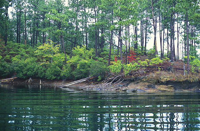 Lake Martin