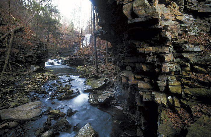 Pisgah Gorge