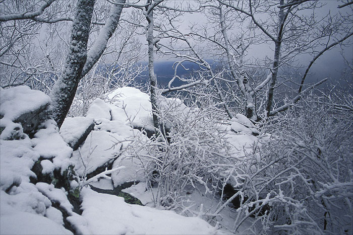 Cheaha Mountain 